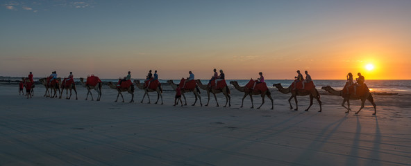 Camels carrying people on Cable Beach with a beautiful sunset in Broome WA