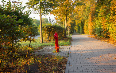 A red fire hydrant standing by alley in an autumn scenery.