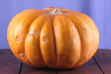 Pumpkin on blue background. Pumpkin on wooden boards. Orange vegetable close-up. Healthy food. Preparation for Halloween