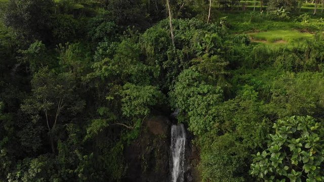 4K aerial drone footage of amazing view of waterfall in the jungle of Bali island. Sunset time in the rainforest.