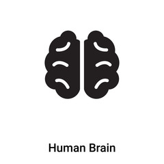 Human Brain icon vector isolated on white background, logo concept of Human Brain sign on transparent background, black filled symbol