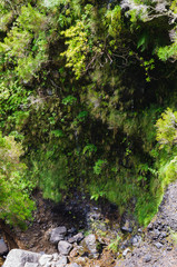 Pedestrian walks in the Levada. Madeira. Portugal