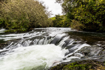 Small rapids on the Kaituna River - Rotorua 