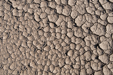 cracked and dry concept backround