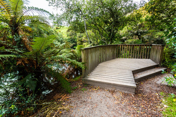 Viewing platform - Kaituna River 