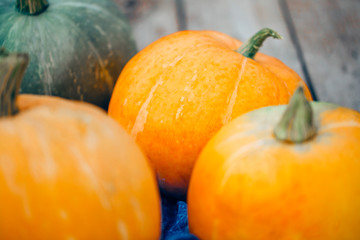 Orange pumpkins, close-up, selective focus