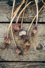 Close-up top view of fresh garlic on vintage wooden background