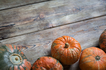 Orange pumpkins