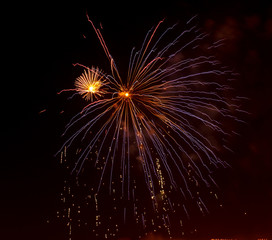 Fireworks in the night sky as a background