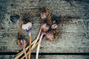 Close-up of garlic on vintage wooden background