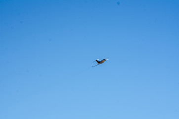 the 2018 air race's fun 