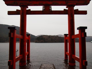 雨に濡れた箱根神社の鳥居