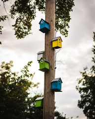 Birdhouse