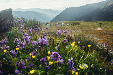 camping in mountains at the height of 2400 meters