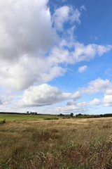 Fluffy white clouds and blue sky over fields