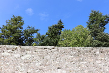 Old wall, tree tops and blue sky