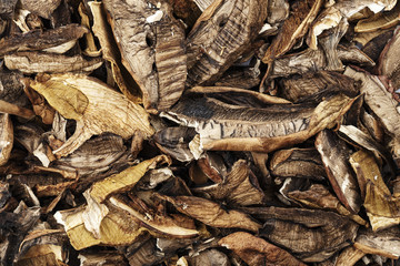 dried mushrooms scattered as a background