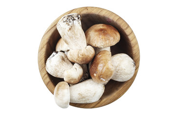 boletus mushrooms isolated