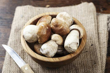 mushrooms boletus in a plate