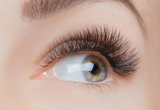 Macro photo woman with long lashes in beauty salon. Concept eyelash extension procedure.