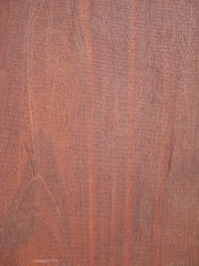 texture of wood
