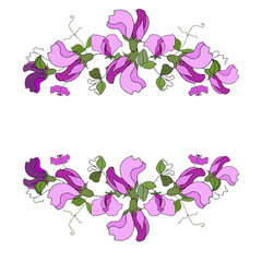 Hand drawn vector frame. Floral wreath with leaves. Sweet pea. Decorative elements for design. Isolated