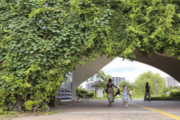 家族連れ　公園　