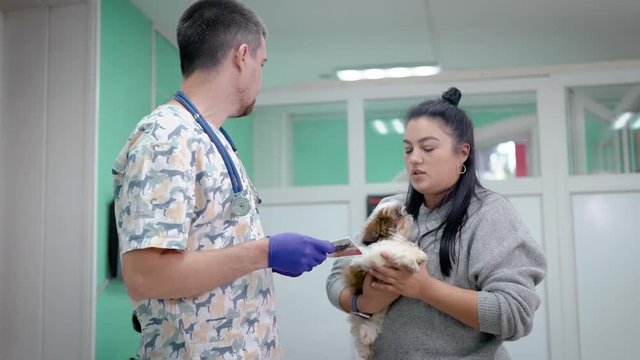 veterinarian and assistant in vet clinic at work.