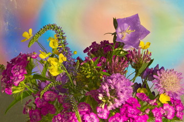 Fototapeta na wymiar A bouquet of wild flowers.