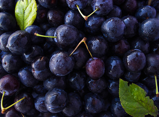 plums. berryes