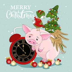 Cute pig on Christmas and new year background. Vector illustration.