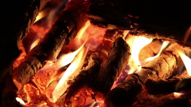 Bonfire at night, close up, nature background
