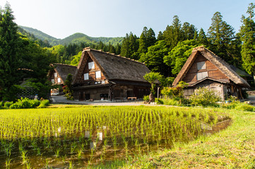 Fototapeta na wymiar Gasso houses in Shirakawa-go, Japan