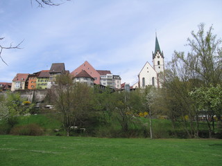Blick auf die Altstadt von Engen