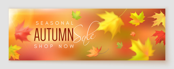Naklejka na ściany i meble Autumn sale banner