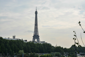 Fototapeta na wymiar Eiffel tower in Paris.