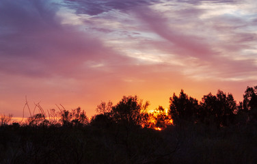 Sunset of Outback Australia