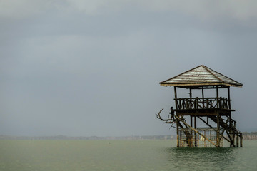 Nature Scene at Lake Victoria in Kenya, Africa