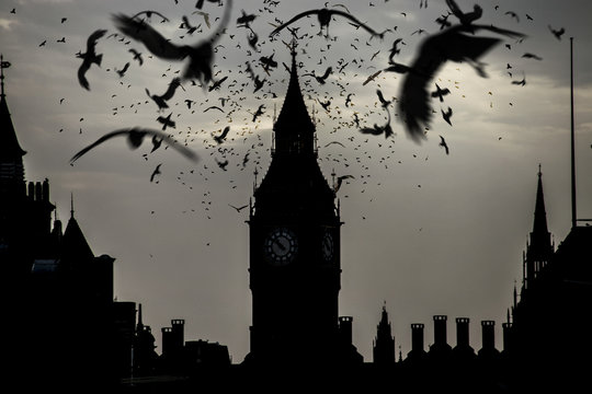  Photo manipulation  of Big Ben with dark bird