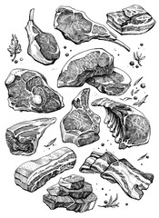 meat black and white draw. ribs, bacon, chop.