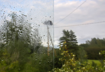 Stork nest and green trees behind the wet glass in autumn rain drops