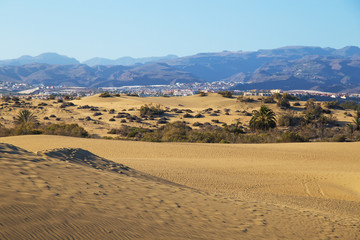 Fototapeta na wymiar Desert sand dunes with a city in the background