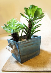 Fresh Artificial Flowers and Plants in wooden pot colur Blue on the background of burlap