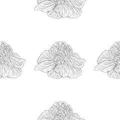 Seamless pattern. Plant in blossom, branch with flower ink sketch. Template for a business card, banner, poster, notebook, invitation, color book