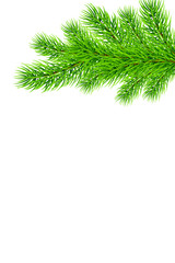 Holiday Christmas frame with fir tree branches. Template for a banner, poster, invitation