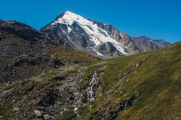 Fototapeta na wymiar high Altai tops