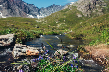 mountain lakes of Altai