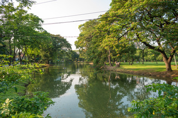 Watercourse that leads to the lake in the Lumphini Park in Bangkok