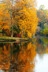 Beautiful autumn landscape