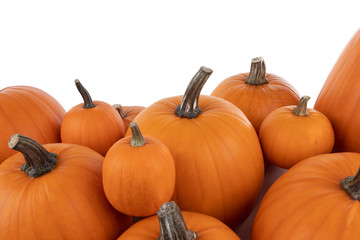 Heap of orange pumpkins